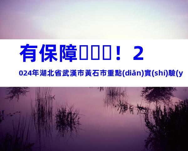 有保障！2024年湖北省武漢市黃石市重點(diǎn)實(shí)驗(yàn)室申報(bào)條件、步驟指南